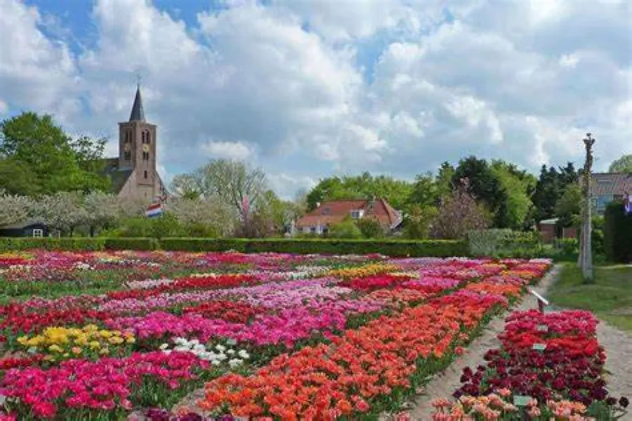 Bloemen kijken limmen hortus bulborum