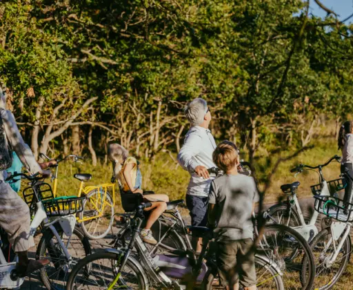 Fietsverhuur camping Geversduin