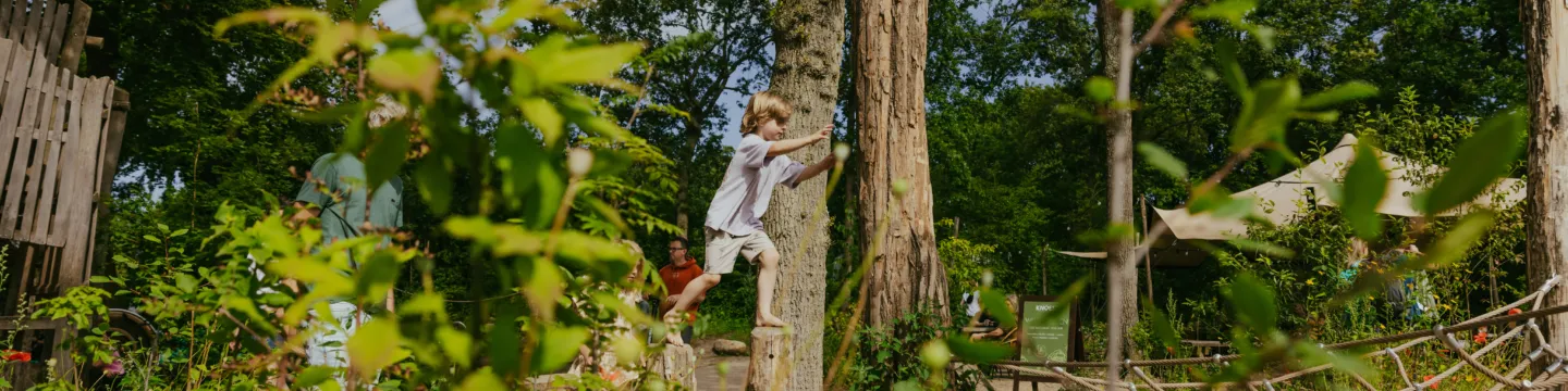 Spelen in de natuur