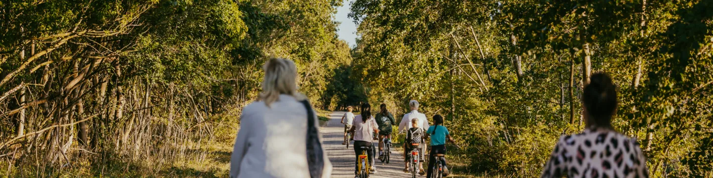 Fietsenindeduinen campinggeversduin