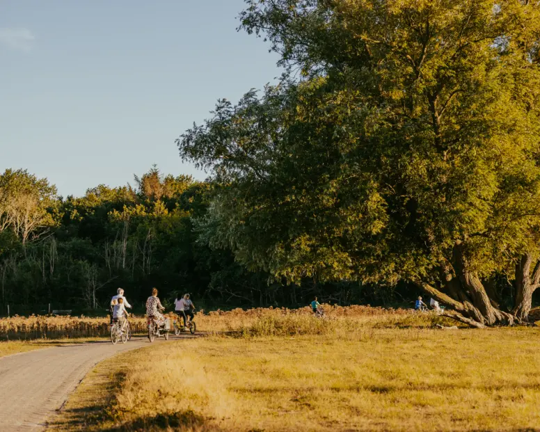 Duinen7 campinggeversduin