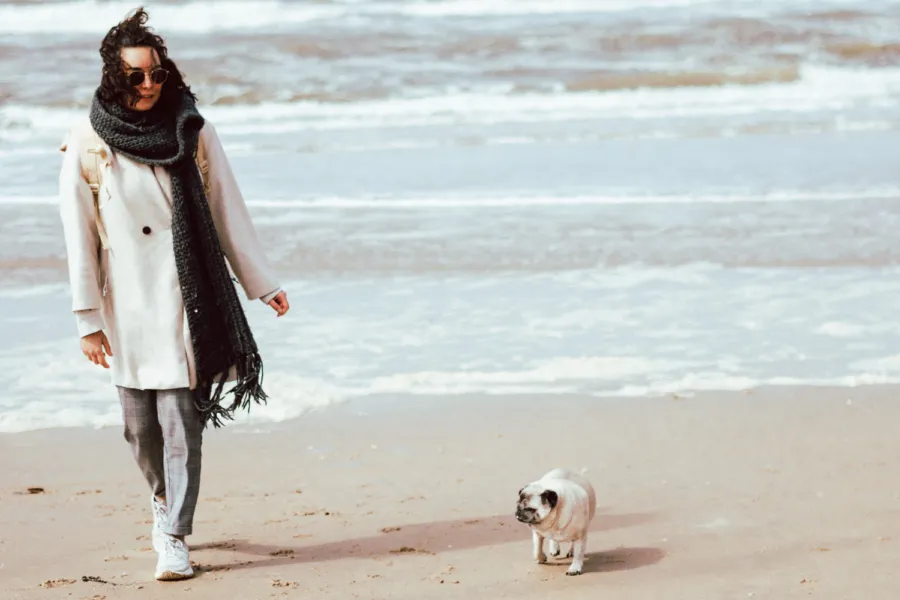 met de hond naar het strand