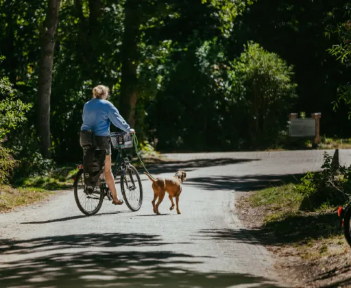 Fietsmethond campinggeversduin 1