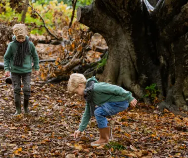 Evy Rosa kennemerduin herfst 5821