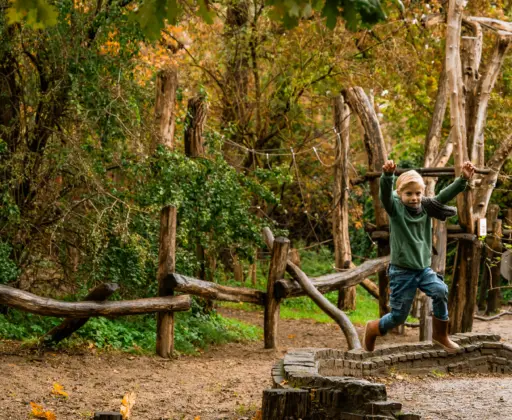 Evy Rosa kennemerduin herfst 04422