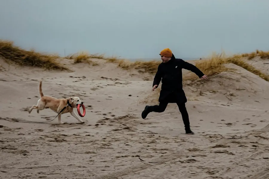 Hondenweer herfst hond strand